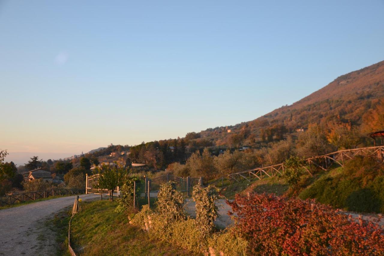 Locazione Turistica Villa Delle Rose Assisi Exteriér fotografie