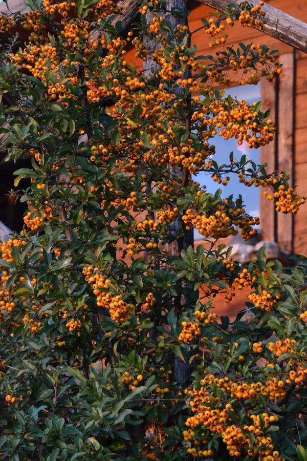 Locazione Turistica Villa Delle Rose Assisi Exteriér fotografie